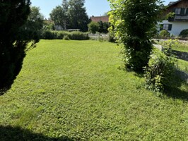 IMG_4463