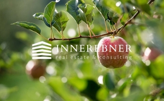 Apfel Innerebner