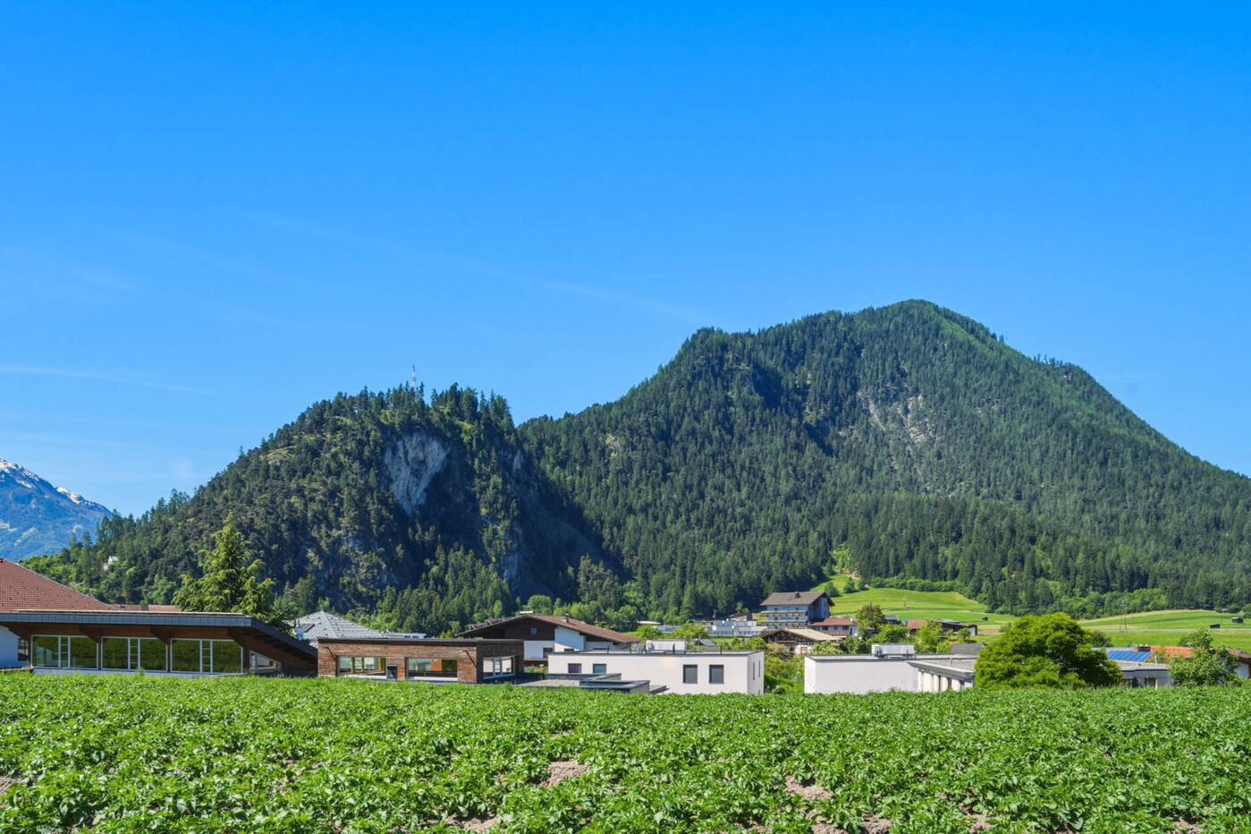 Panorama