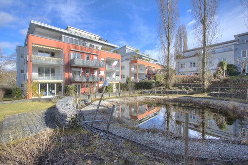 Gartenteich - Parkanlage