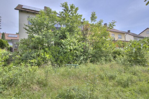 Garten - Sicht zum Haus