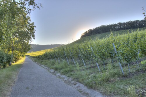 hinter dem Haus