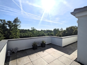 Dachterrasse 2
