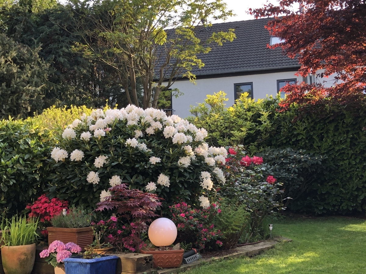 Garten - Wetekam Immobilien