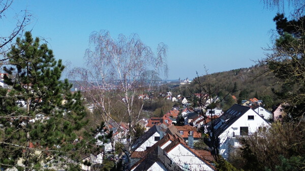 Burgblick