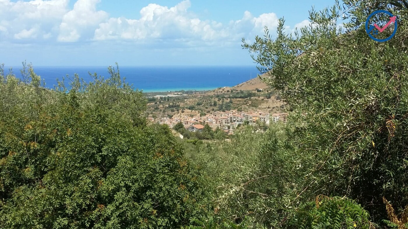 IMG-20250729-WA0019