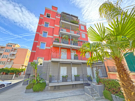 WhatsApp Image 2026-01-12 at 16.46.49