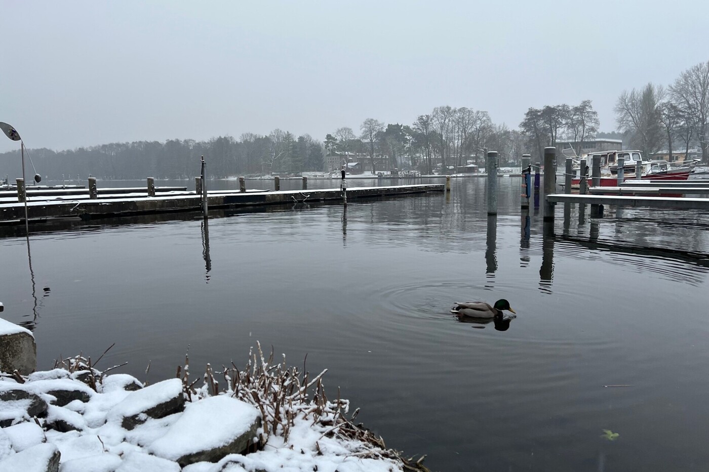 Winterliche Stille an der Spree