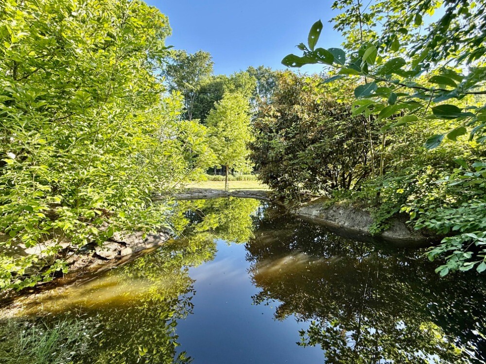Teich