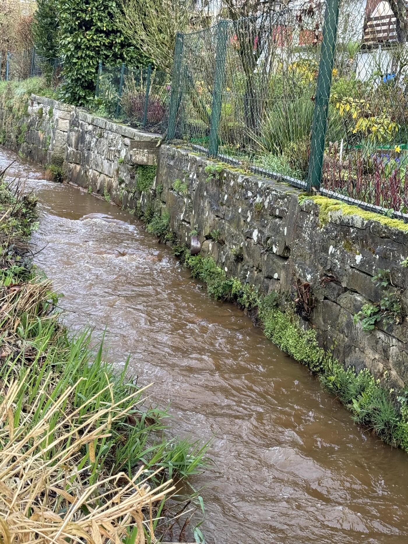 am Bachlauf gelegen