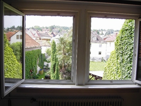 Fenster_Blick Garten