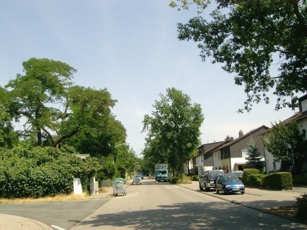 hier in der Nähe