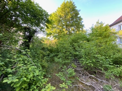 Blick von der Straße