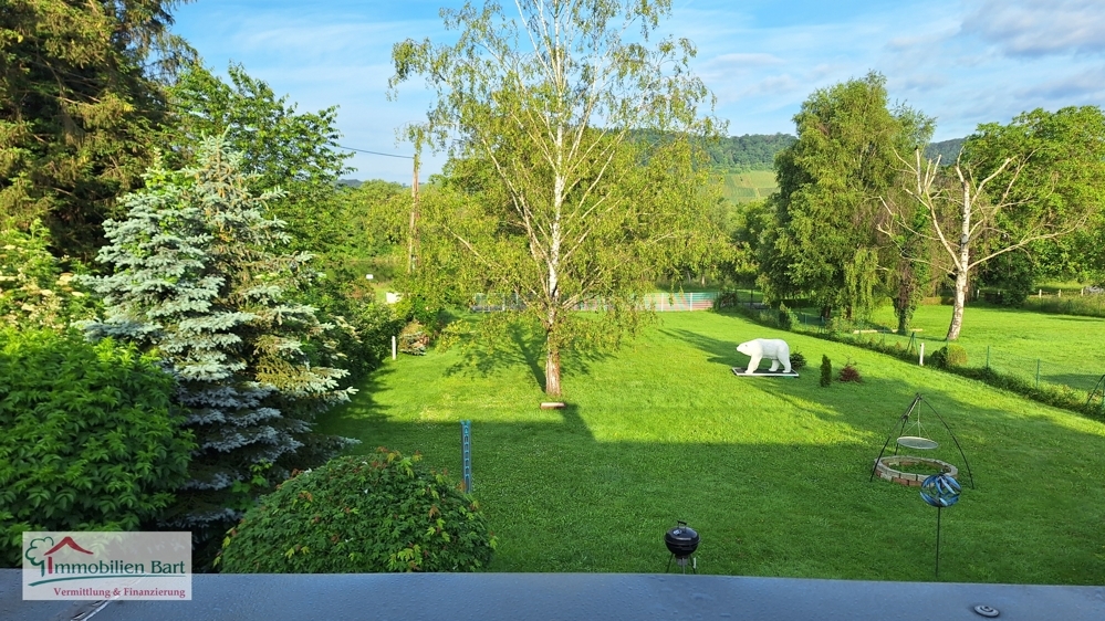 Mosel-Blick