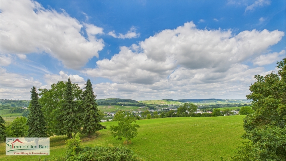 Ausblick