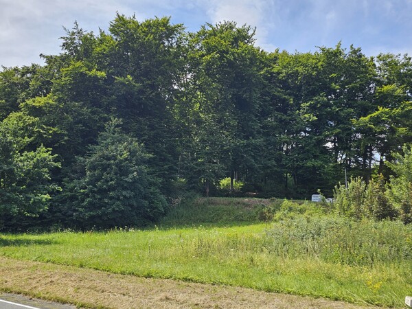 Baugrundstück 
