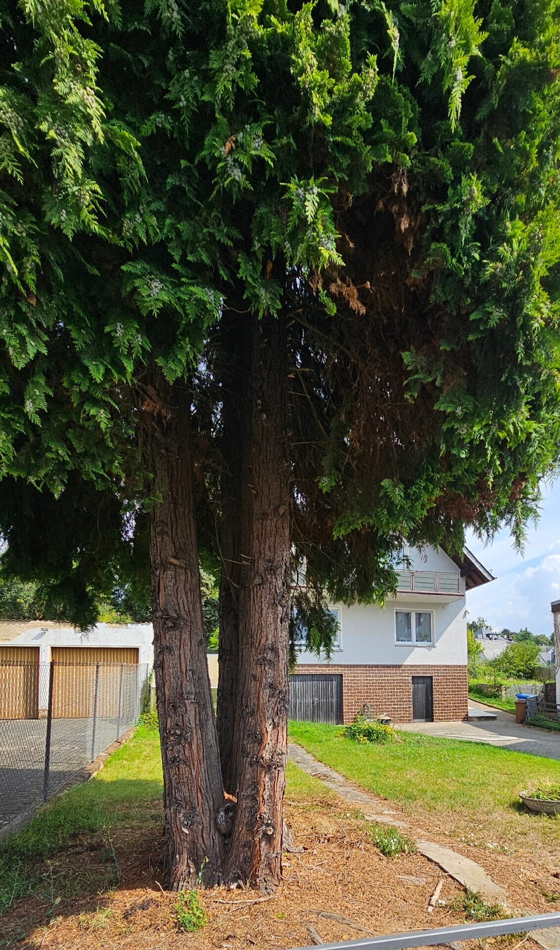Garten neu