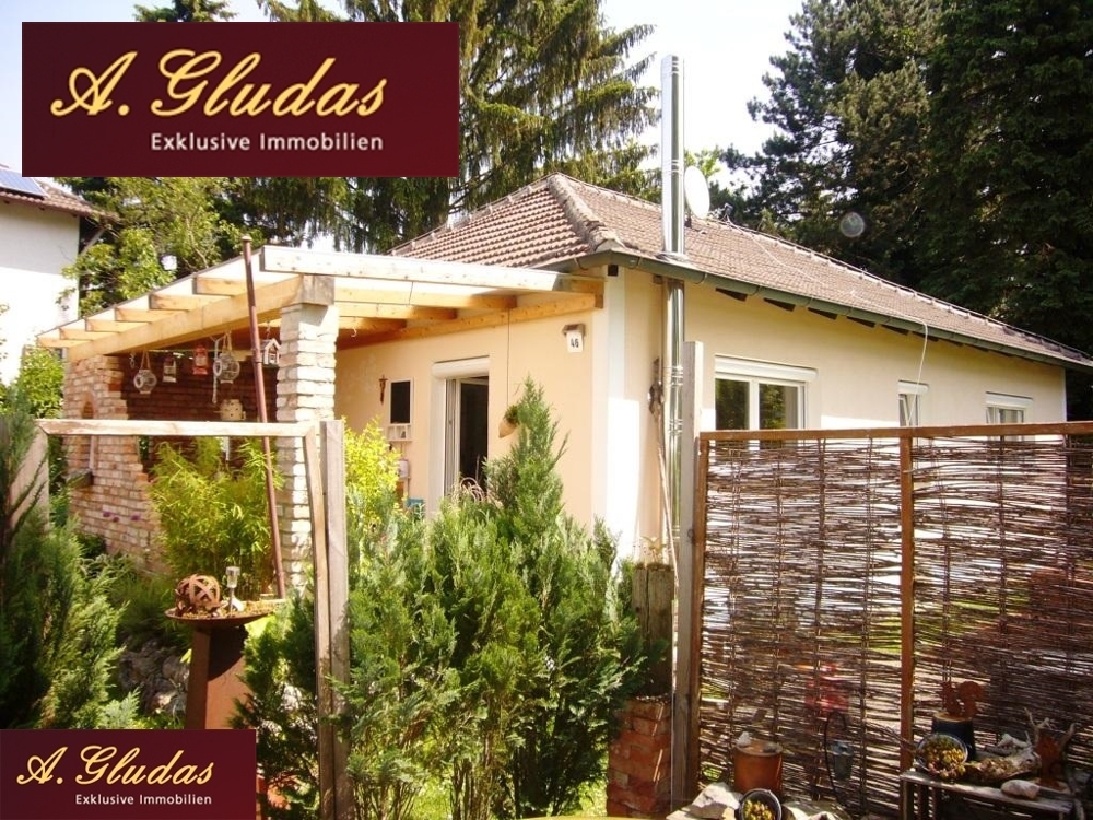 Real Estate Title Image Background