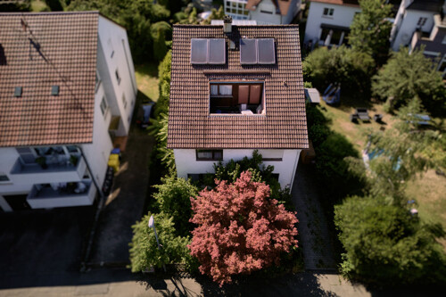 Attraktive Außenanlage