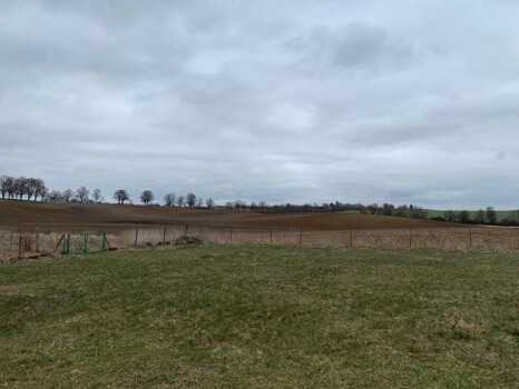 Blick vom Grundstück