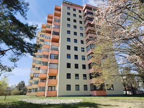 MVIMG_20260411_120727