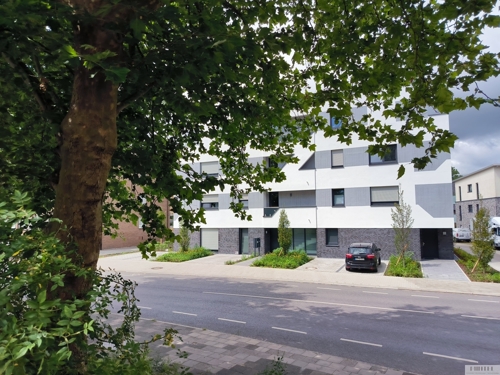 Ansicht