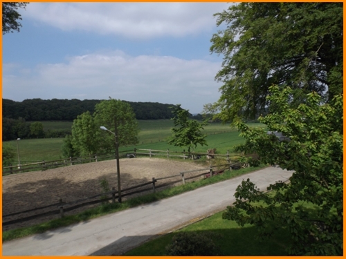 Blick ins Grüne