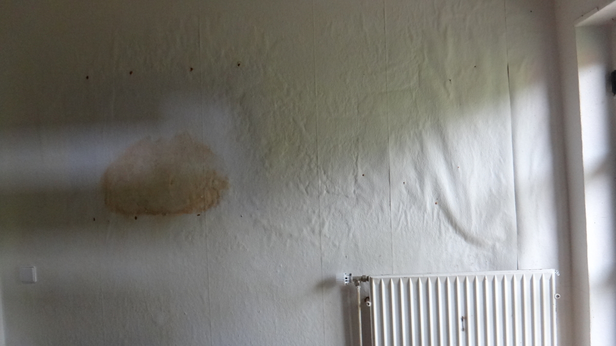 0 EG Gästehaus Feuchtigkeit im Fur