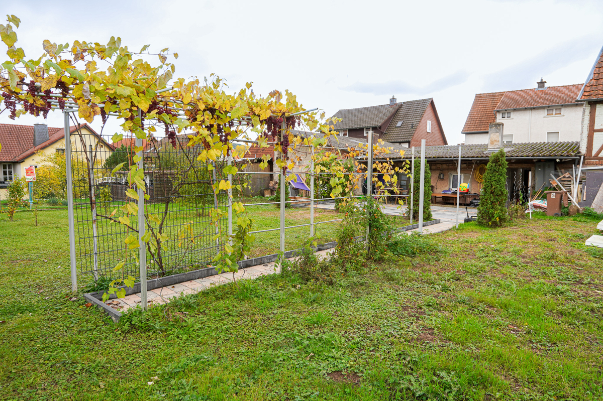 Garten (2)