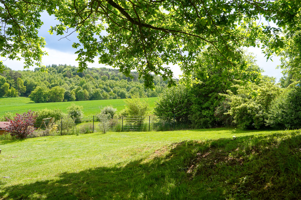Außenanlage Garten (2)