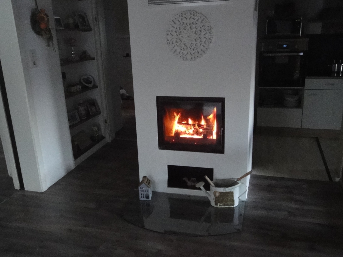 Wohnzimmer Kaminofen