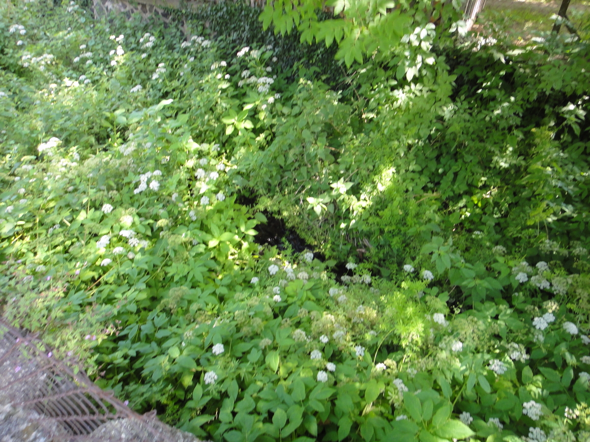 A Bauland hintzer der Scheune Gartenfläche (2)