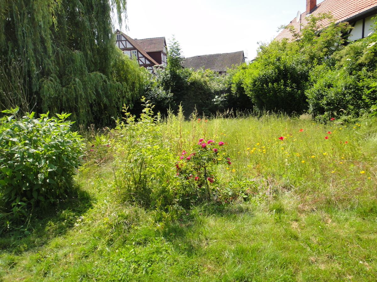 A Bauland hinter der Scheune Gartenfläche