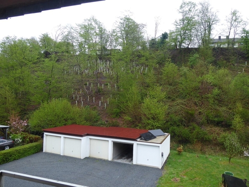 Blick ins Grüne