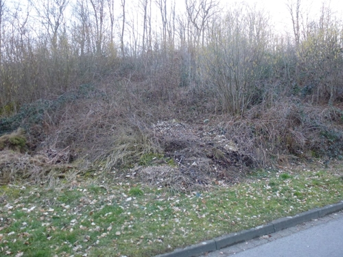 Bäume und Sträucher