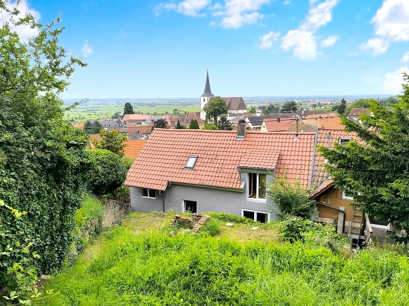 Blick vom Garten