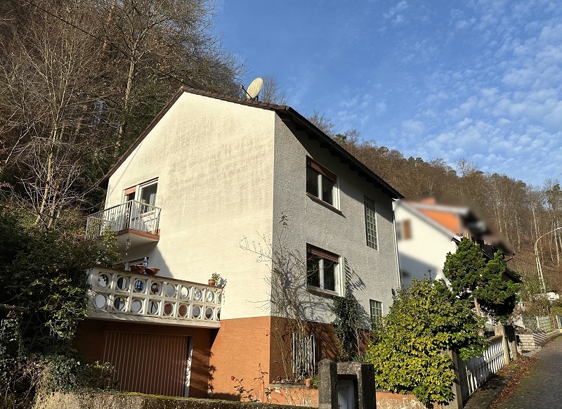 Straßenseite Richtung Wald