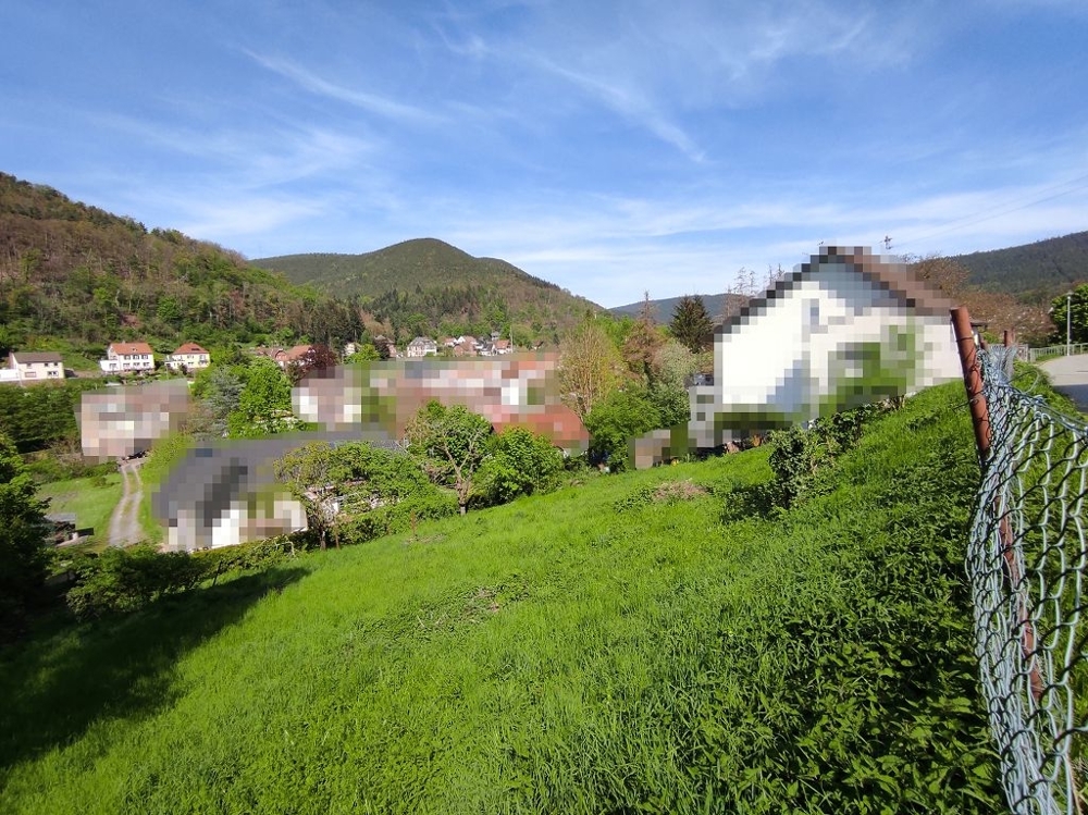 Blick, Seitenansicht