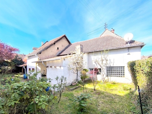 Garten Hausrückseite