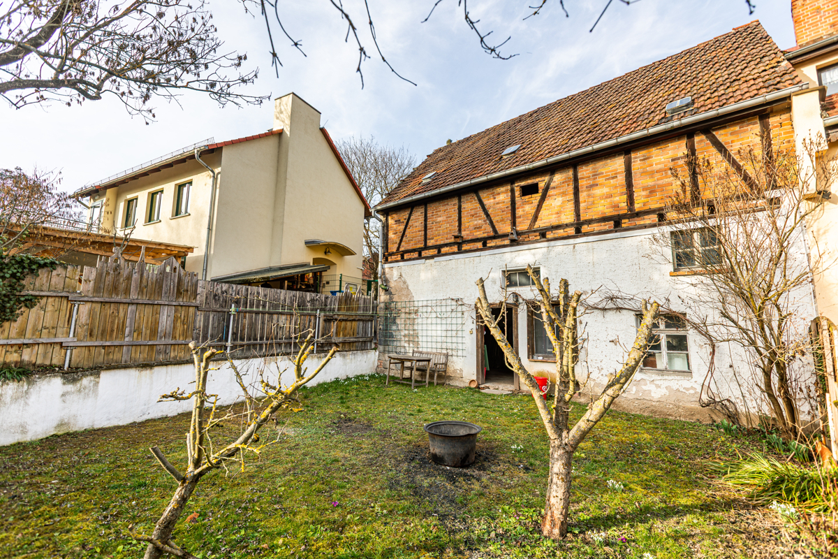 Garten hinten