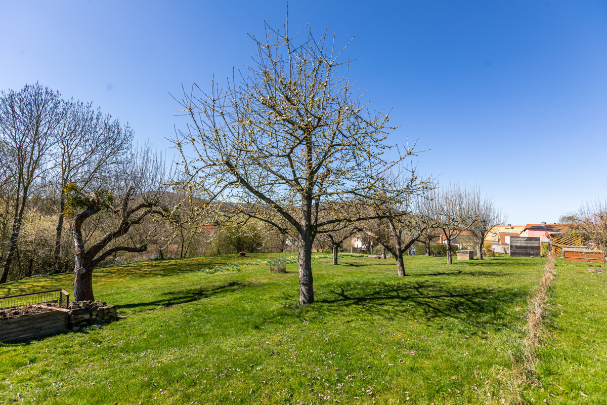 Obstgarten