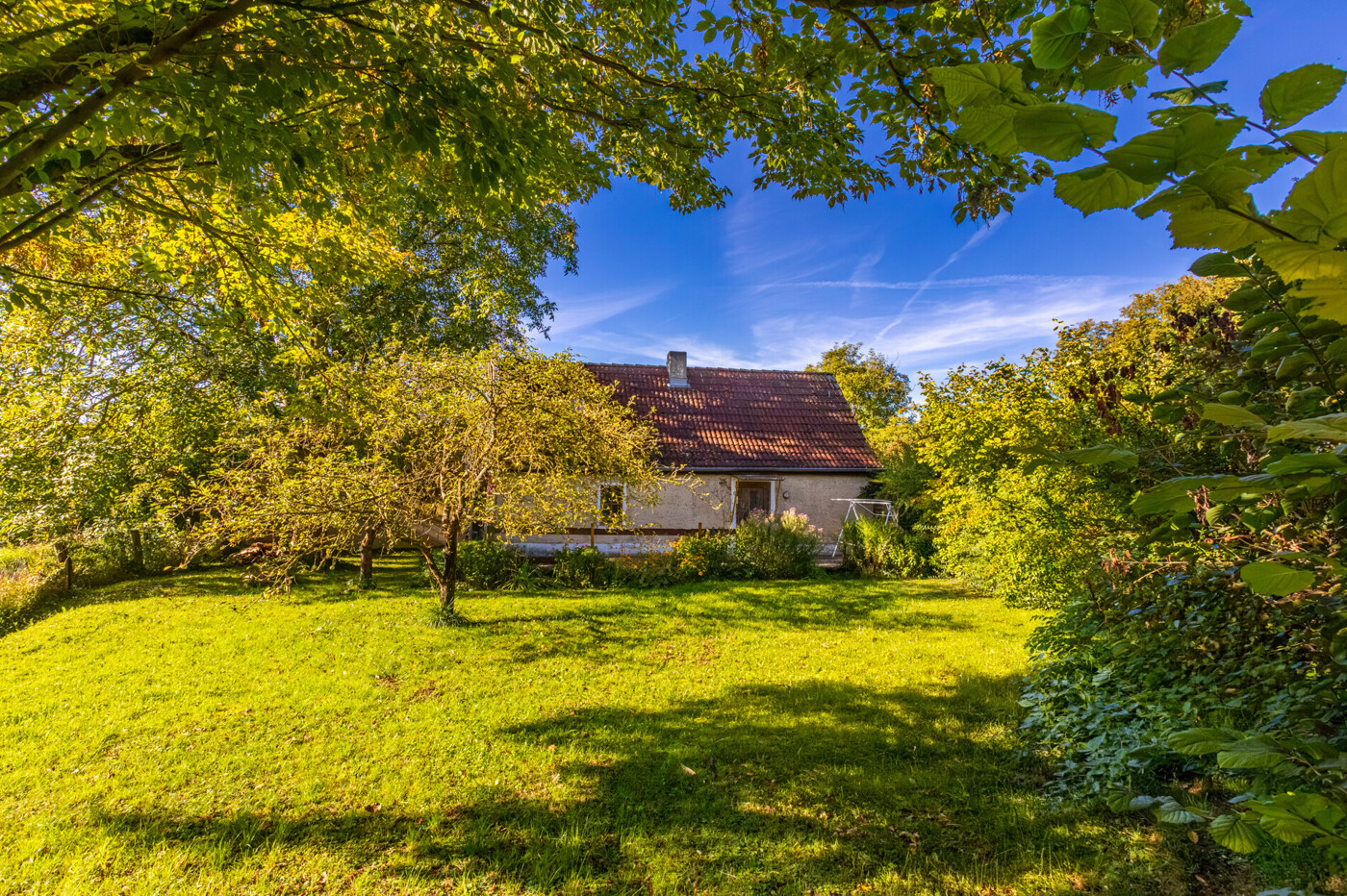 hinterer Garten