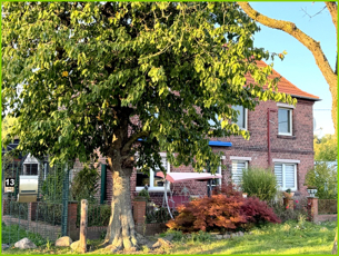 Außenansicht mit Vorgarten