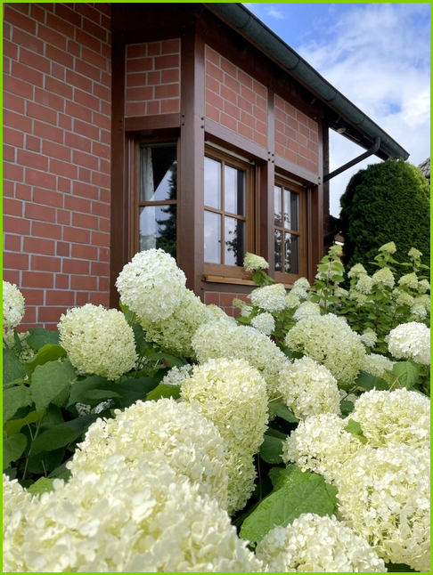 Real Estate Title Image Background