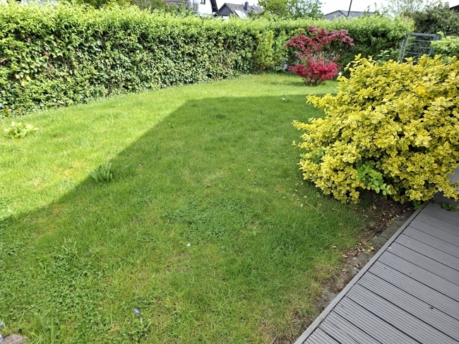 Garten Ansicht 2