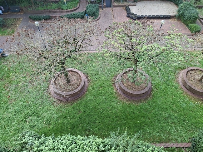 Ausblick vom Balkon