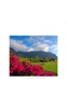 Golfclub Buenavista mit Blick auf Teide
