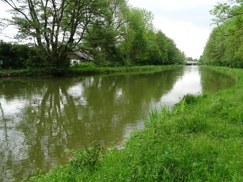 An den Amperauen