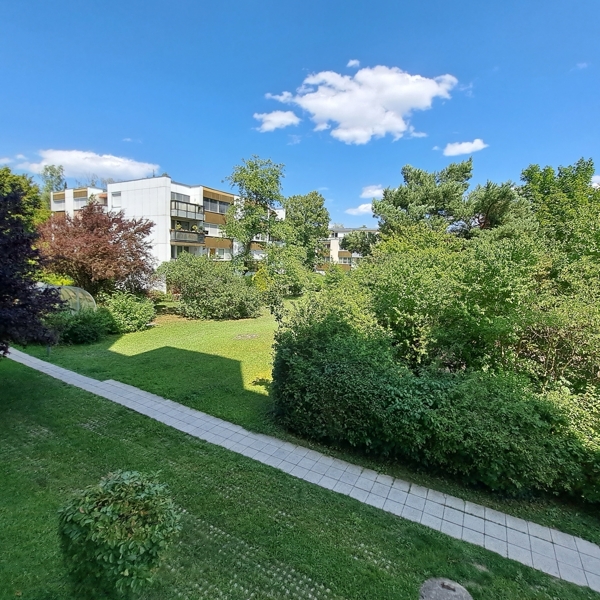 Blick in den Garten Foto 1