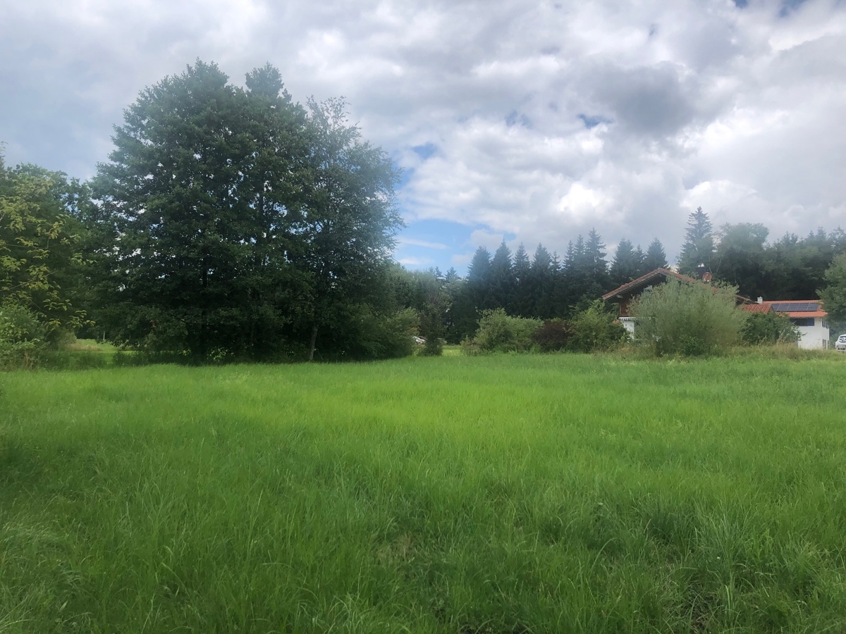 Baugrundstück